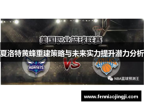 夏洛特黄蜂重建策略与未来实力提升潜力分析