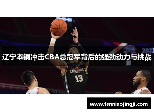 辽宁本钢冲击CBA总冠军背后的强劲动力与挑战