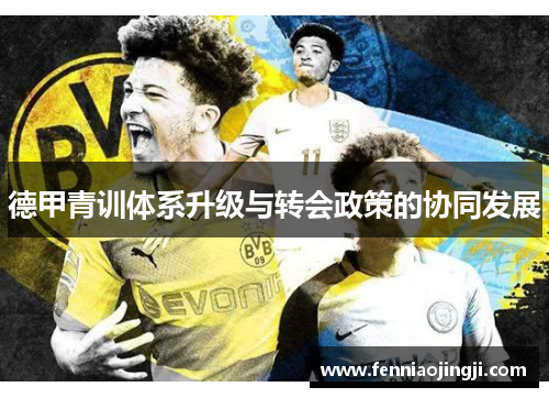 德甲青训体系升级与转会政策的协同发展