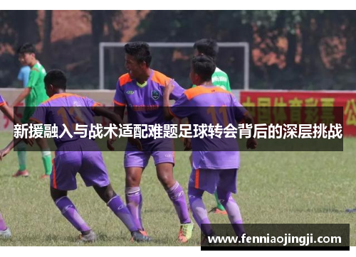 新援融入与战术适配难题足球转会背后的深层挑战